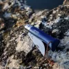 Opinel Tradition Tradition Colorama No.08 (S) zsebkés, sötétkék (0-002212)