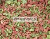 Sera Vipagran Granules Nature granulátum díszhaltáp 1000 ml (000203)