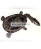 Sera Reptil Professional Carnivor Nature 1000ml prémium teknőstáp (001822)