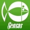 Ernyő - Sensas Bivi Liez Green sátras ernyő ablakokkal 2,5m (02001)