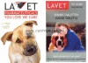 Lavet Senior Tabletten - Vitamin Készítmény (Senior) Kutyák Részére 40g 50db (030110005)