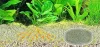 Sera Floredepot Aquarium Gravel 2,4kg növény táptalaj 60l akváriumhoz (032856)