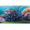 Plenn plax Decor Nemo Korall 51X31 cm akvárium háttér két oldalas (078958)