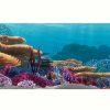 Plenn plax Decor Nemo 51X31 cm akvárium háttér két oldalas (079023)