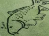 Delphin Carp Sock horgász zokni 41-46 (101002853)