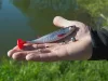 Delphin Realix 3D 13cm 2db műcsali Mamba (101005620)