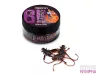 Delphin B! Stinx Nympha 2.5cm  20db FROGS (101005778)