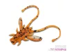 Delphin B! Stinx Nympha 2.5cm  20db FRUITY (101005902)