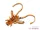 Delphin B! Stinx Nympha 2.5cm  20db FRUITY (101005902)