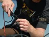 Delphin HELP Rig horgony szerelék kiszabadításához (101006039)