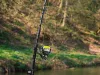 Delphin HAZARD Darx Catfish 255cm 500g 2r harcsás bot (101006705)