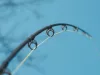 Delphin HAZARD Darx Catfish 285cm 500g 2r harcsás bot (101006706)