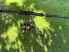 Daiwa AQUALITE FEEDER LT 6000S-P QD Limited feeder orsó  (10410-600PN)