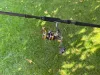 Daiwa AQUALITE FEEDER LT 6000S-P QD Limited feeder orsó  (10410-600PN)
