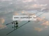 Daiwa Black Window Tele Carp 3,0M 3Lb Pontyozó Bot (11572-307)