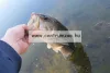 Daiwa Exceler Dipsy Diver 2,70M 15-30Lb Pergetőbot (11808-271)