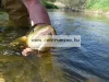 Daiwa Exceler Dipsy Diver 2,70M 15-30Lb Pergetőbot (11808-271)