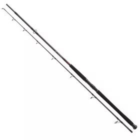   Daiwa Exceler Catfish Boje 2,7m  200-600g harcsás bot (11818-276)