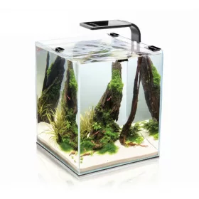   Aquael Shrimp Smart Nano Led Day&Night Akvárium Komplett Szett 19Liter (122978) Fekete