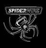 Spiderwire Dura 4 Green 150m 37Lb 0,25mm 23,2kg fonott zsinór (1450382)