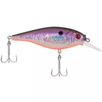 Flicker Shad Shallow 50