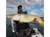 Abu Garcia Beast Zander Shad 90mm gumihal Pike (1517126)