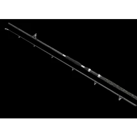   Penn Legion® Cat Silver Power Allround 2.70m 100-300g 2r harcsás bot (1519187)