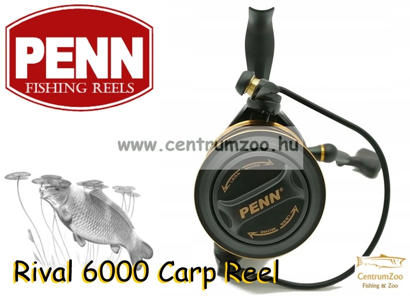 Penn Rival Gold Spinning Reel 6000 at Rs 11088.00