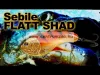 Berkley® Flatt Shad Megbízható Wobbler Fs-124-Xh-Ftg - Firetiger Gold (1532698)