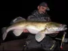 Berkley Sick Vibe 9cm Bloody Burbot gumihal (1570971)