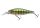 Daiwa Tournament Tight Wave Shad 75F wobbler Ghost (16712-005)
