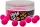Starbaits POP UP Global Spice 20g 14mm (16848)