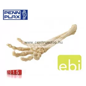   Penn Plax Deco Samu Dekorációs Csontváz Kéz Akváriumba 27Cm (234-422120)