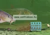 Cormoran Bull Fighter Picker 2,7M 5-30G Picker Bot (25-9030277)
