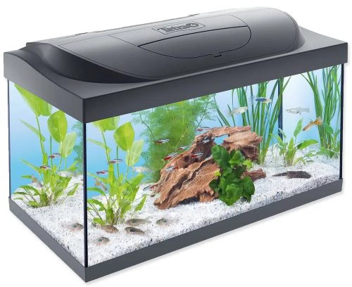 Tetra Starter Line  60 Led Komplett felszerelt akvárium 54l 60x30x30cm (256989)