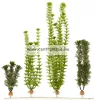 Tetra Dekoart Plantastics Anacharis (Wasserpest) műnövény  "S" 15 cm (270176)