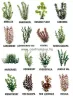 Tetra Dekoart Plantastics Ambulia Műnövény  "L" 30 cm (270473)