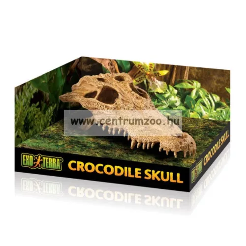 Exo-Terra Crocodile Skull Dekor  Koponya 22cm (2856)