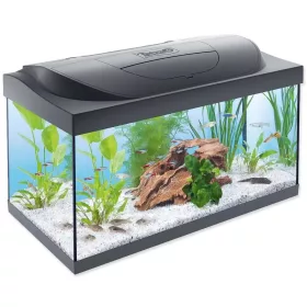   Tetra Starter Line 60 LED Komplett felszerelt akvárium 54l 60x30x30cm (305646)