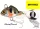 Spro-Gamakatsu Asp Uv 7G (4341-2007) Natural Perch