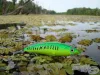 Spro Powercatcher Minnow 50Sf 5Cm 10,9G - Yellow Perch Uv (4385-707)