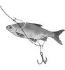 Black Cat BaitClp harcsacsali karika Medium 5db (4581001)