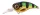 Spro Fat Iris CR 50 wobbler 5cm 10g - Perch  (4867-2204)