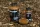 HiCarp Liquid Krill 150ml (501531)