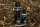 HiCarp Liquid NHDC Sweetener 100ml (501596)
