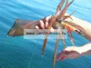 Lineaeffe Super Attractive Metal Squid Jig Colab-5 Tengeri Műcsali 7,5Cm (5079652) -Zöld-Pink Csíkos