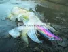 Lineaeffe Super Attractive Metal Squid Jig Colab-5 Tengeri Műcsali 7,5Cm (5079652) -Zöld-Pink Csíkos