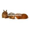 Ferplast Rabbit 120 Entry Level New nyúlketrec 2 ajtóval (57053470EL)