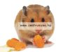 Ferplast Mini Duna Hamster Pink Hörcsögvár - Nincs Szemét (57075499)