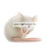 Ferplast Mini Duna Hamster White Hörcsögvár - Nincs Szemét (57075499)